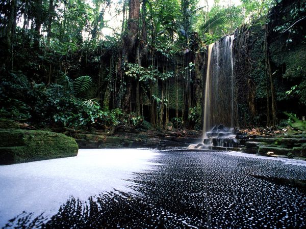 surinam cascade