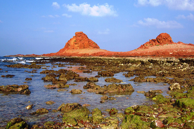 Di Hamri corail Yemen