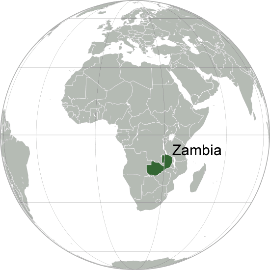 ou se trouve zambie